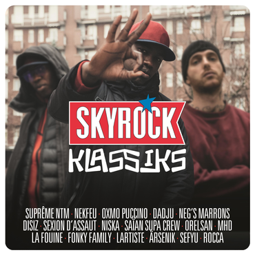 Multi Interprètes - Skyrock Klassiks - Double Vinyle