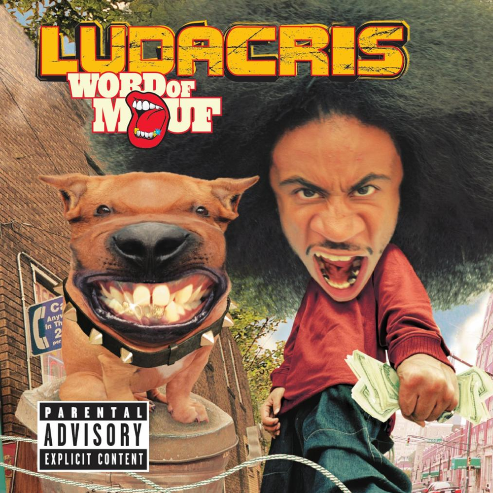 Ludacris - Word Of Mouf - Double Vinyle